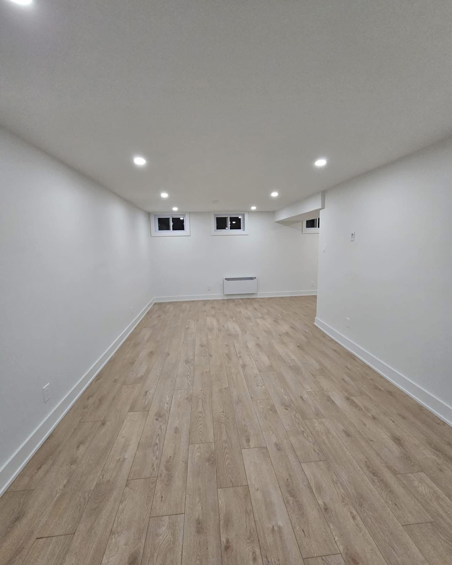 Basement Renovation